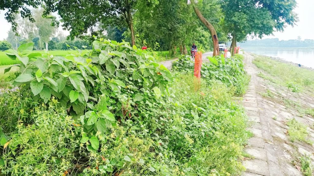 Cleanliness drive at tourist attractions in Birganj Upazila