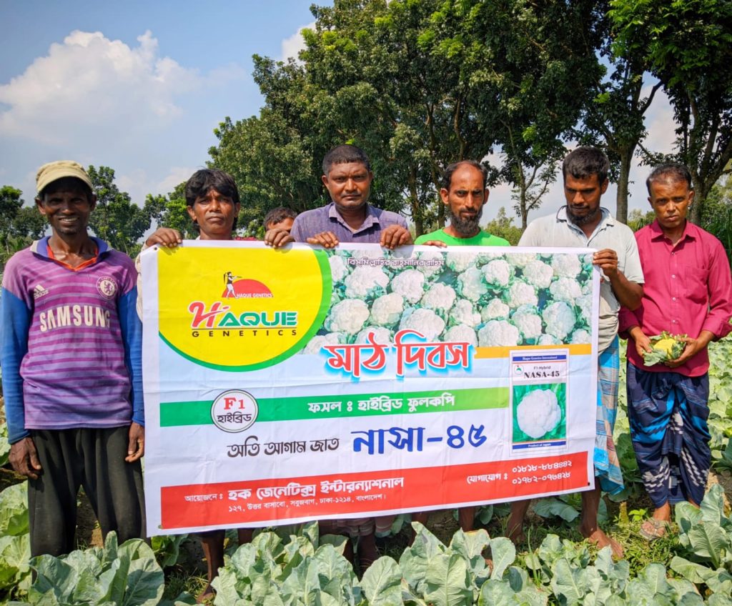 Agricultural Field Day held in Birganj for early cauliflower cultivation