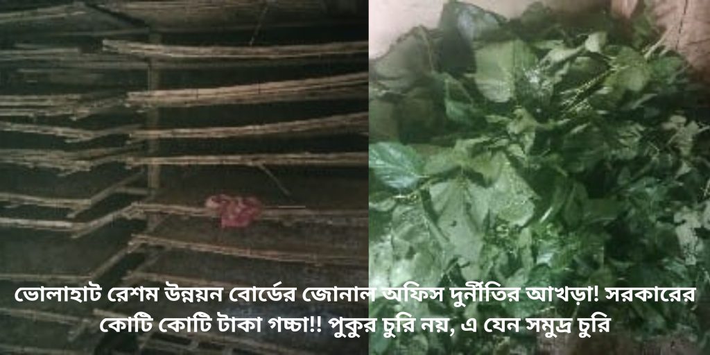 Bholahat Silk Development Board's zonal office is a den of corruption! The government's crores of taka are being looted!! It's not stealing a pond, it's stealing the sea