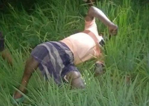 Body of a farmer recovered from a paddy field in Gokul village, Tanore