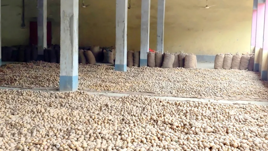 Farmers and traders face losses after storing potatoes in cold storage.